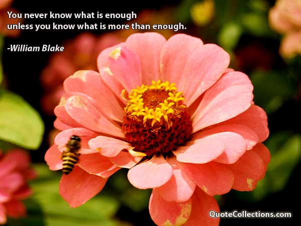 William Blake Quotes3